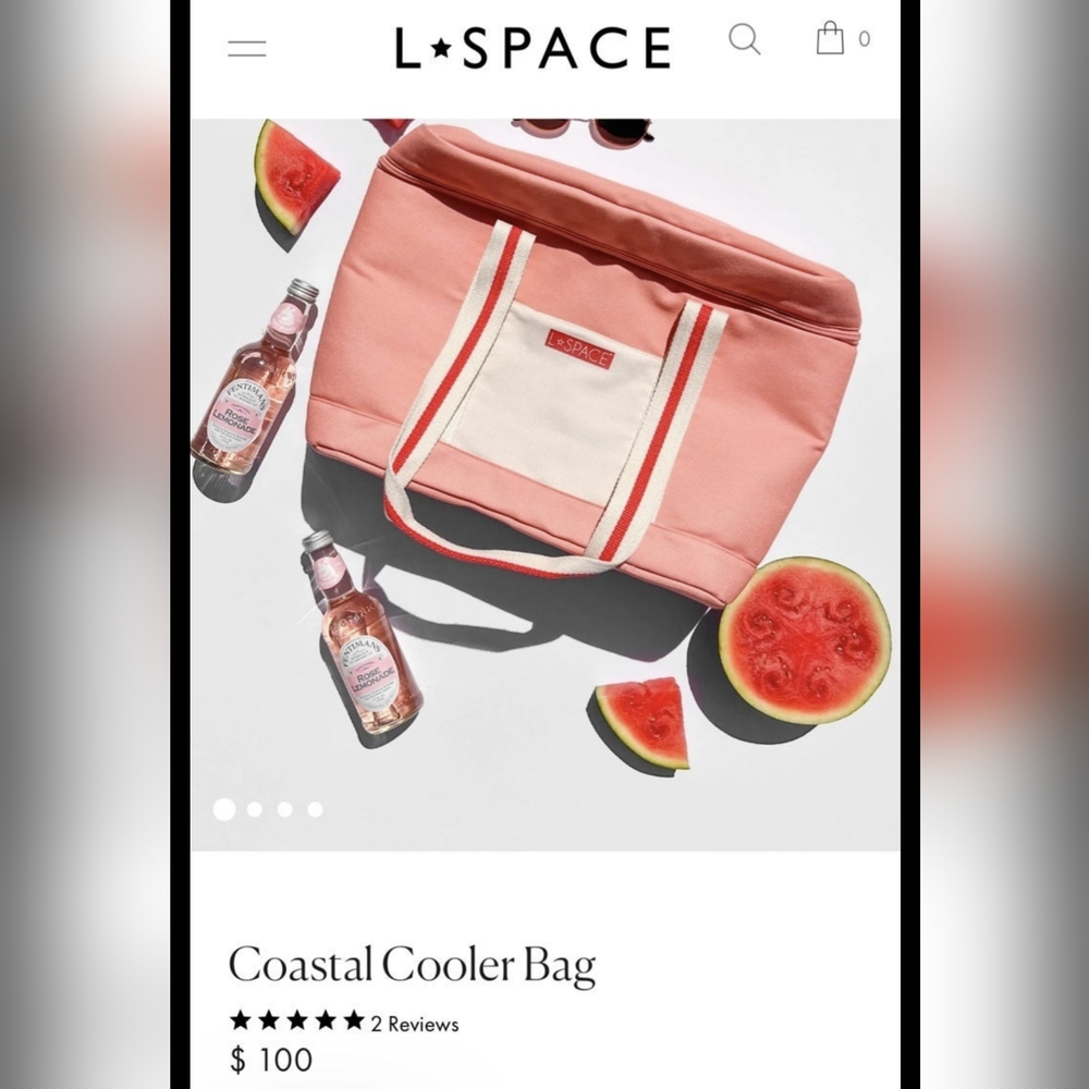 NWT L*SPACE Cooler Bag